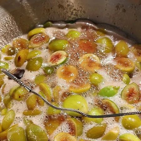 Oda ve Kahvaltı Domaine Cardu