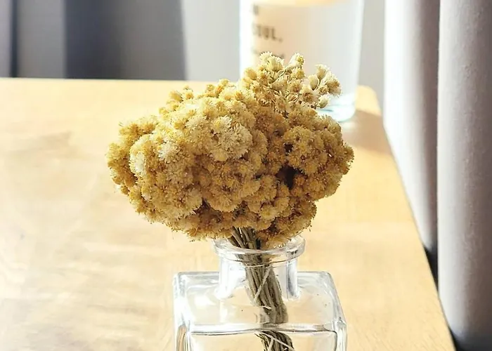 Bed & Breakfast Domaine Cardu