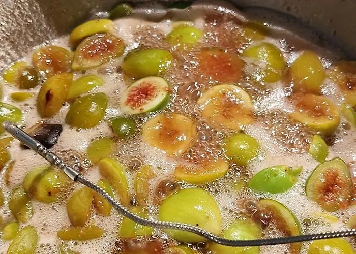 Bed & Breakfast Domaine Cardu