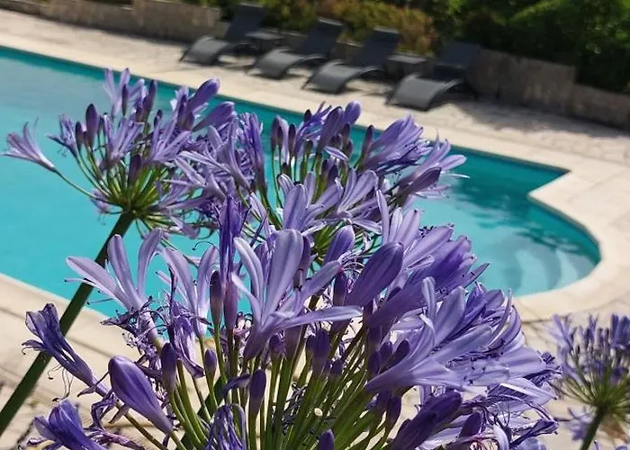 Domaine Cardu Bed & Breakfast Cardo-Torgia