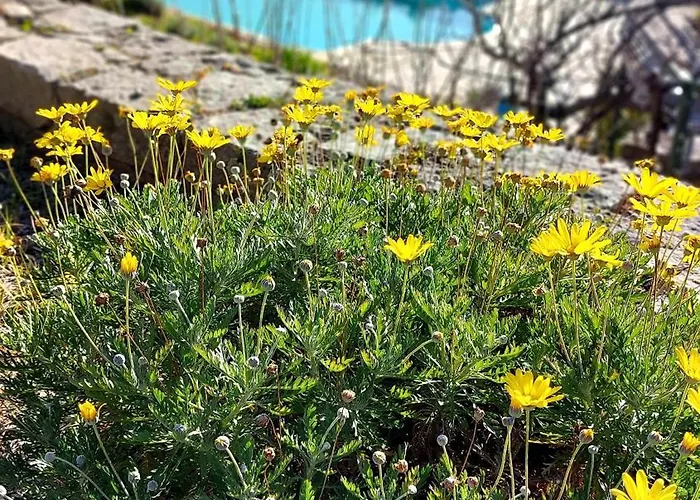 Domaine Cardu 3* Cardo-Torgia