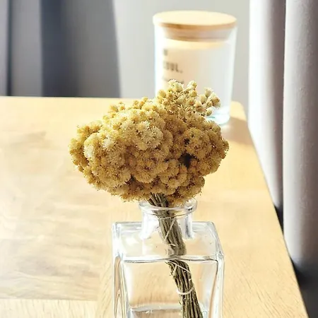 Bed & Breakfast Domaine Cardu