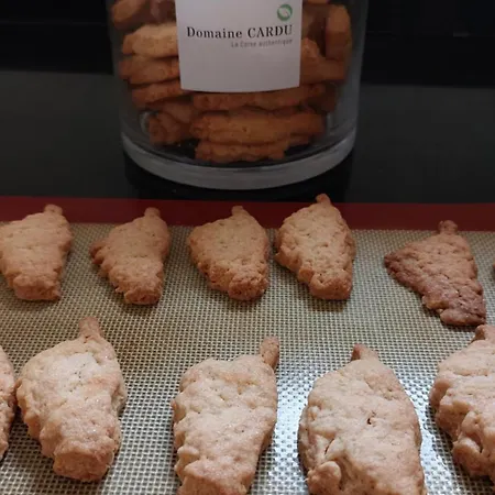 Domaine Cardu Cardo-Torgia