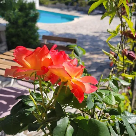 Domaine Cardu 3* Cardo-Torgia