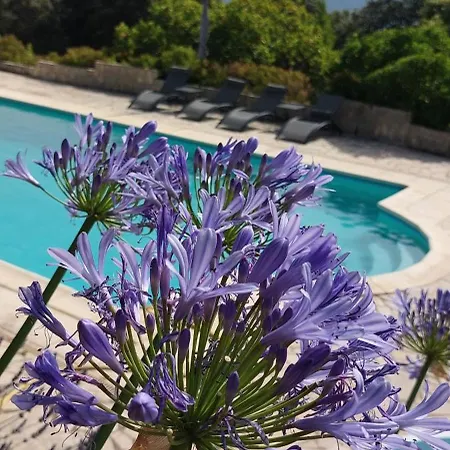 Domaine Cardu Frühstückspension Cardo-Torgia