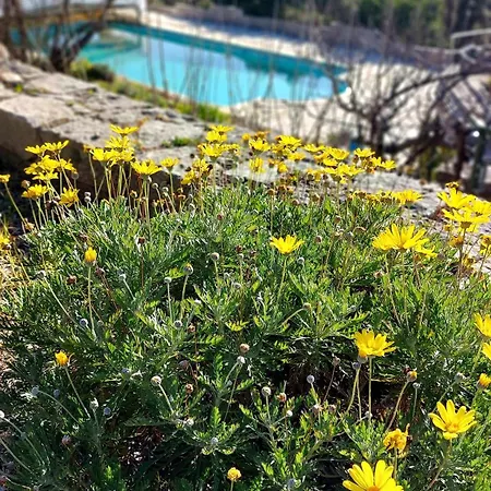 Domaine Cardu 3* Cardo-Torgia