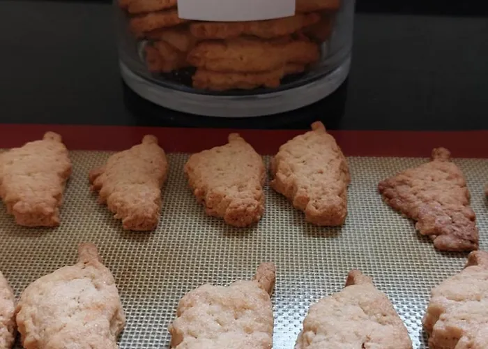 Domaine Cardu Cardo-Torgia