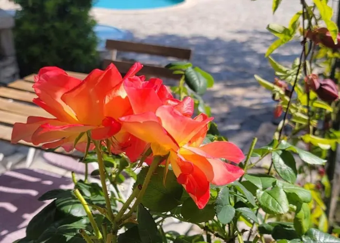 Domaine Cardu 3* Cardo-Torgia